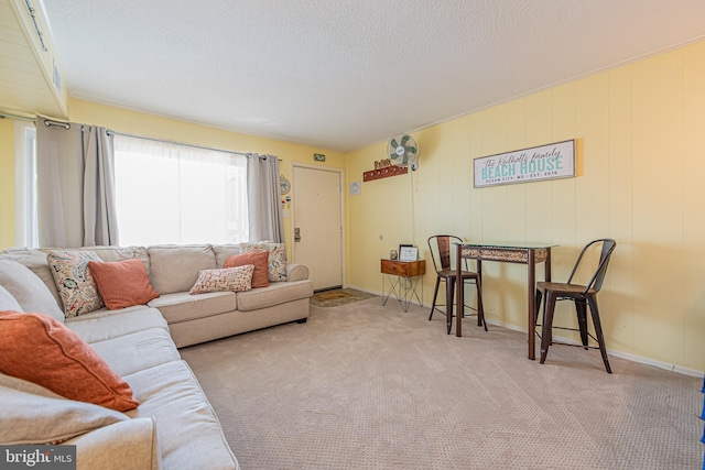 carpeted living room featuring a textured ceiling