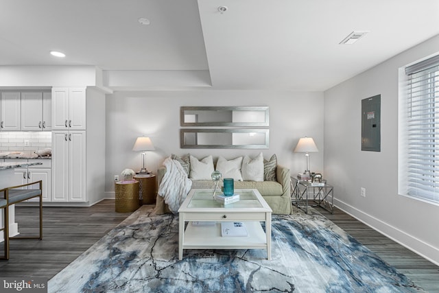 living room with dark wood-type flooring