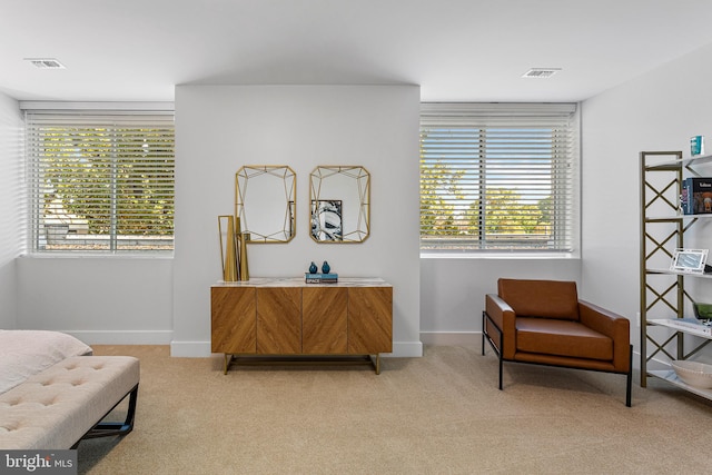 living area with light carpet