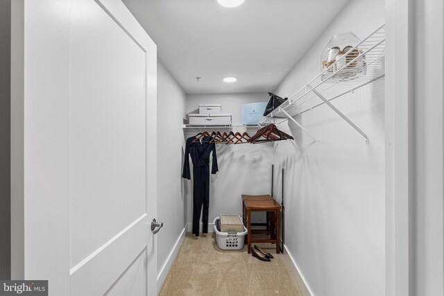 walk in closet featuring light colored carpet