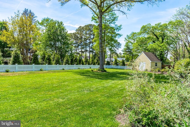 view of yard with a storage shed