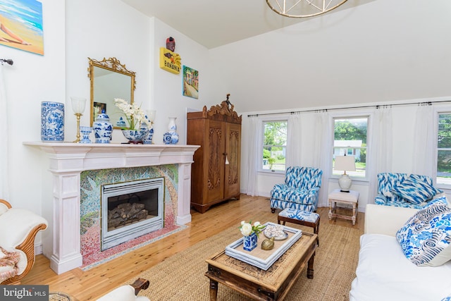 living room with a premium fireplace and light wood-type flooring