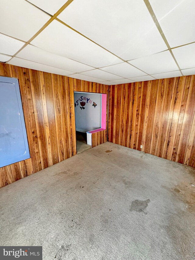 interior space featuring carpet floors and wood walls