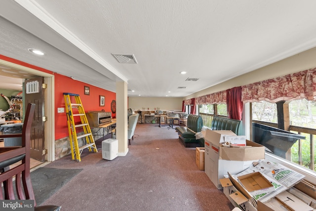 miscellaneous room with a healthy amount of sunlight, carpet flooring, and a textured ceiling