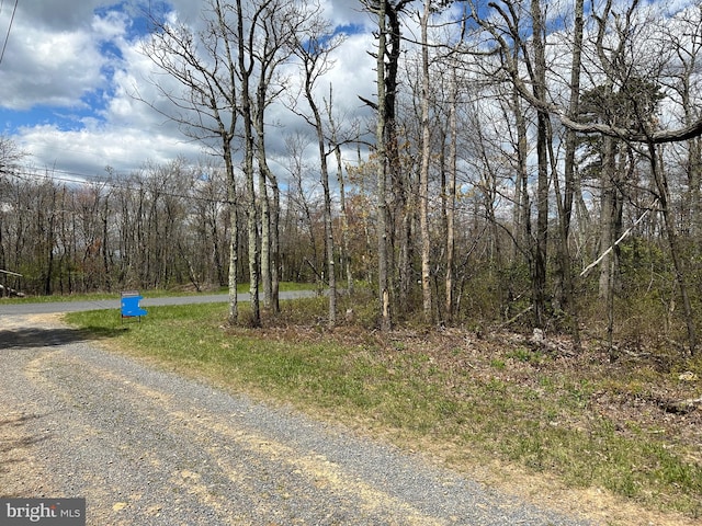 LOT102 Bow Wood Trl, Winchester VA, 22602 land for sale