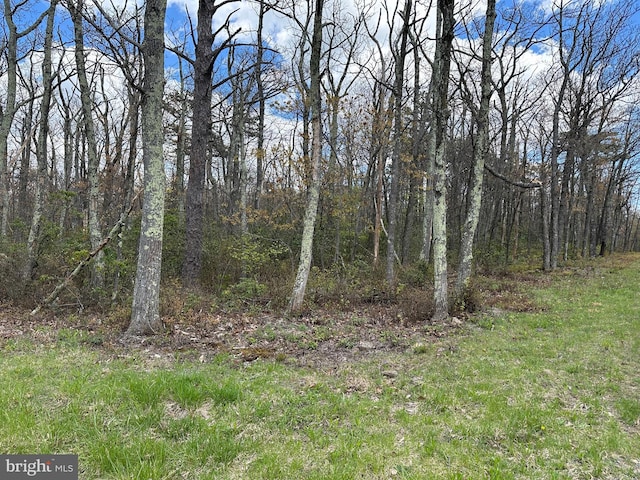 Listing photo 3 for LOT102 Bow Wood Trl, Winchester VA 22602