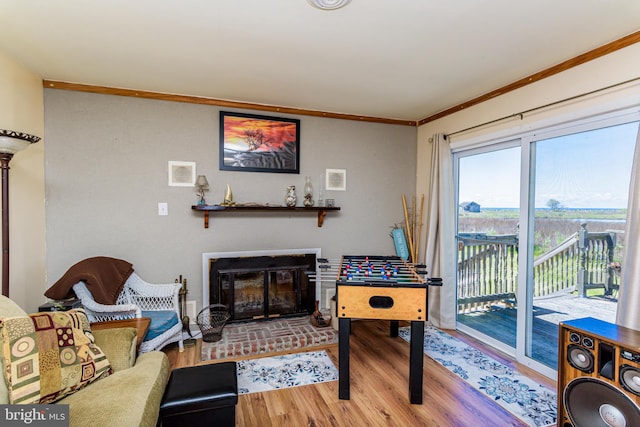 recreation room featuring crown molding, a fireplace, and wood-type flooring