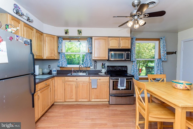 kitchen featuring plenty of natural light, light hardwood / wood-style floors, sink, and stainless steel appliances