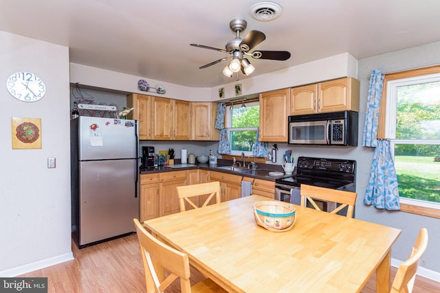 kitchen with plenty of natural light, sink, light wood-type flooring, and stainless steel appliances