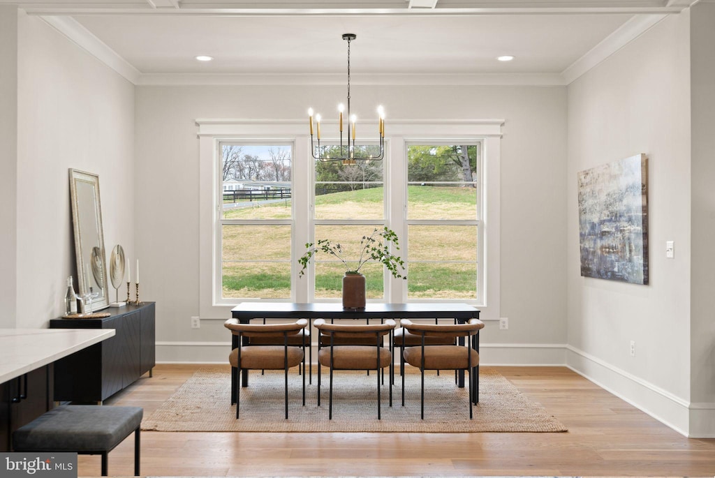 dining room featuring a wealth of natural light and light hardwood / wood-style floors