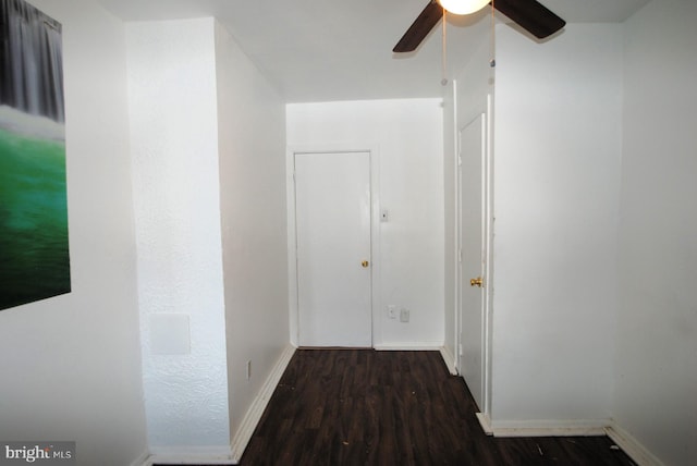 hall featuring dark hardwood / wood-style floors