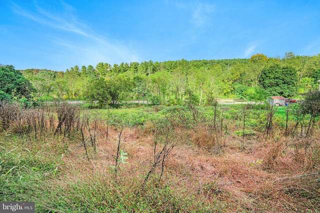 view of local wilderness featuring a rural view