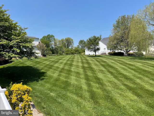 view of yard