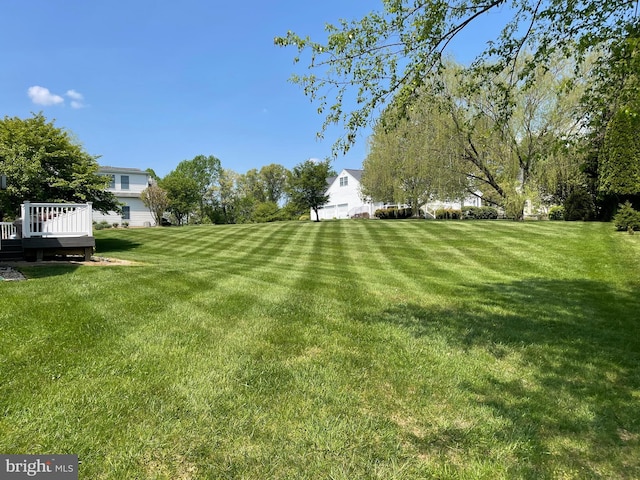 view of yard with a wooden deck