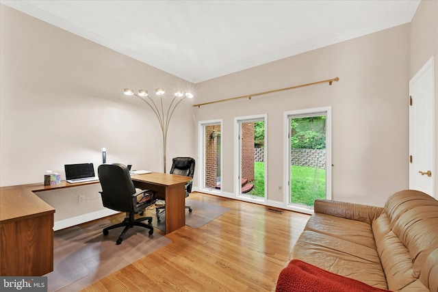 office space with ornamental molding and hardwood / wood-style flooring