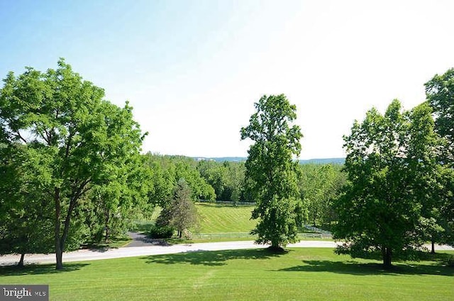 surrounding community featuring a lawn