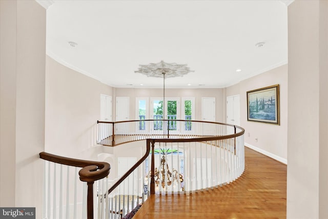 hallway with hardwood / wood-style floors and ornamental molding