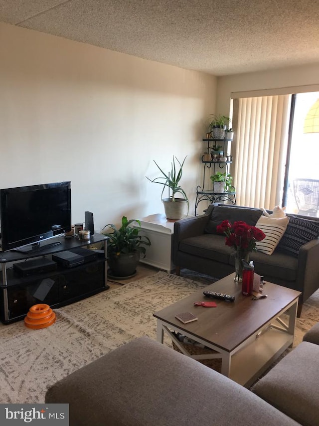 carpeted living room with a textured ceiling