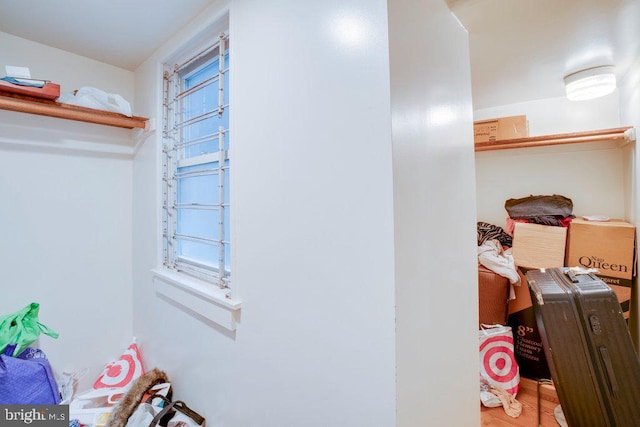 spacious closet with wood-type flooring