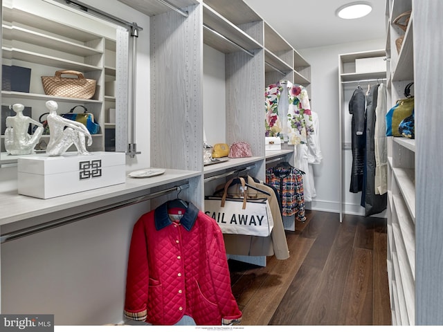 walk in closet with a barn door and dark hardwood / wood-style floors