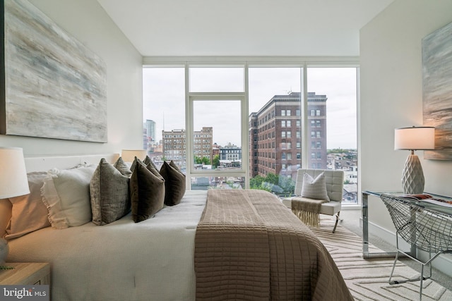 bedroom with carpet and a city view