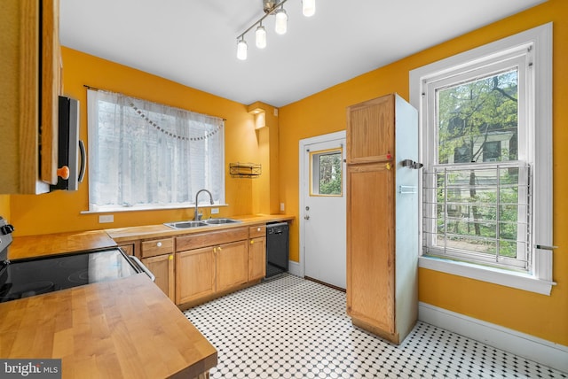 kitchen featuring wood counters, dishwasher, sink, and range