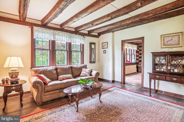 living room featuring wood-type flooring, beam ceiling, and radiator heating unit