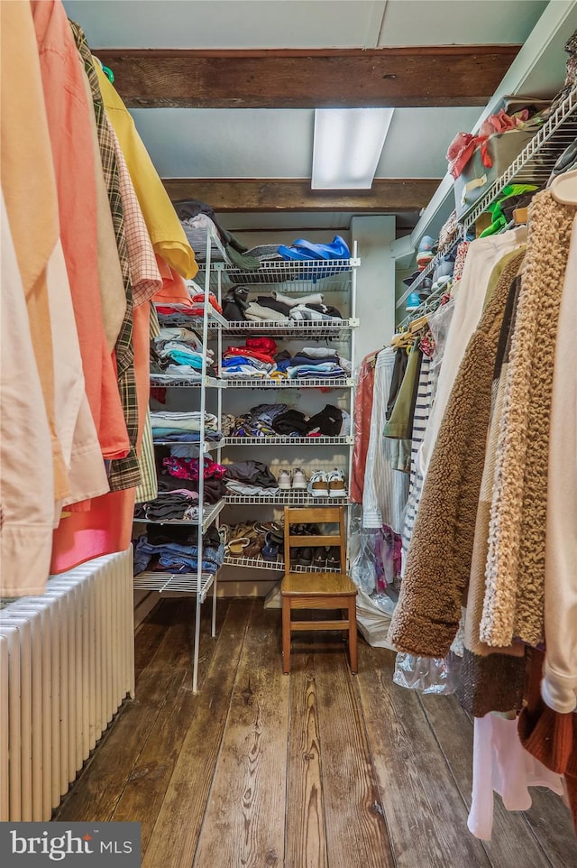 walk in closet featuring radiator heating unit and hardwood / wood-style flooring