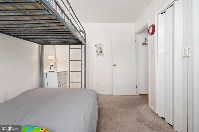 bedroom featuring carpet floors