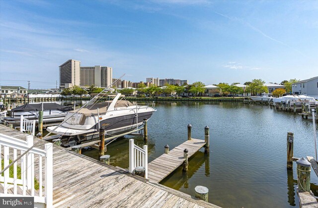 dock area with a water view