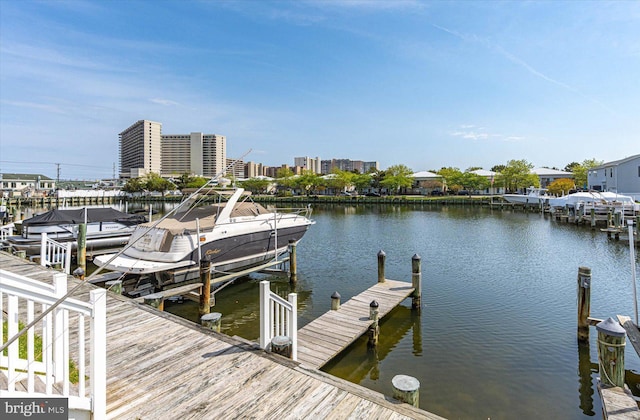 dock area with a water view