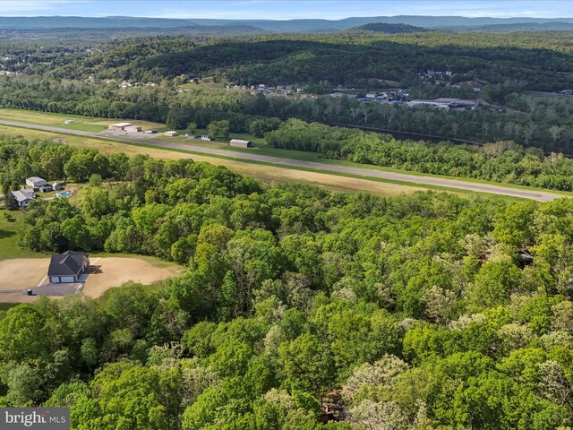 bird's eye view