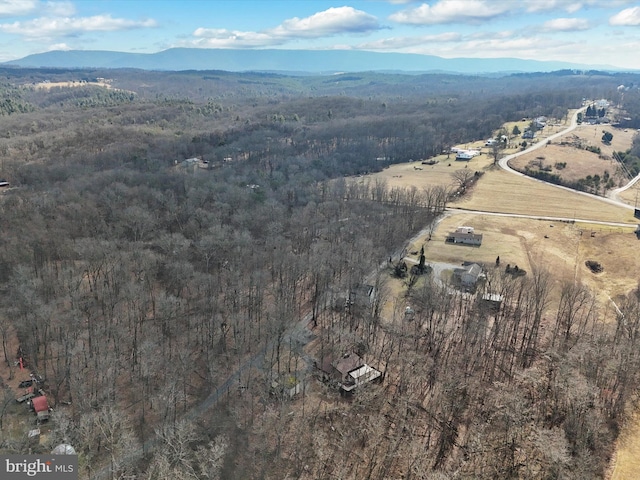 aerial view with a mountain view