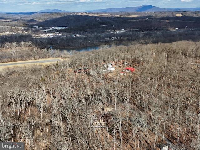 view of mountain feature