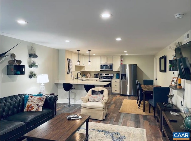 living room featuring sink and dark hardwood / wood-style floors