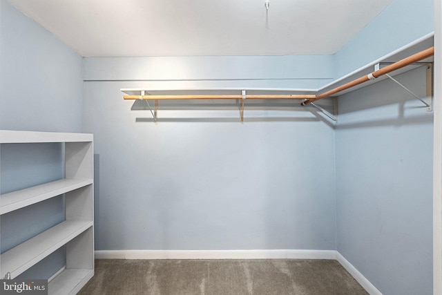 walk in closet featuring dark colored carpet