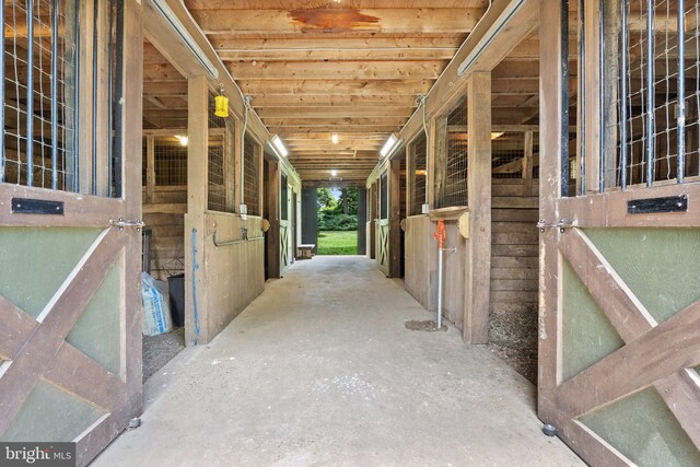 view of horse barn