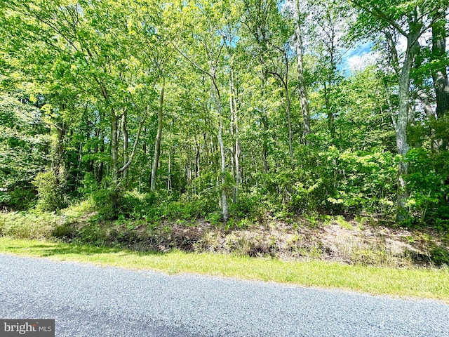 0 Anderson Rd, Princess Anne MD, 21853 land for sale