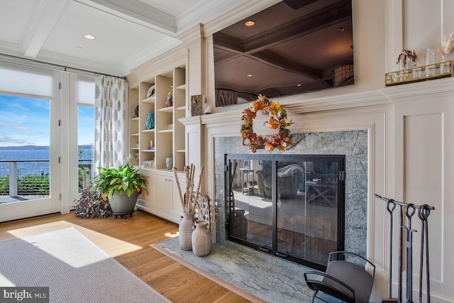 room details with a fireplace, built in features, ornamental molding, hardwood / wood-style flooring, and beam ceiling