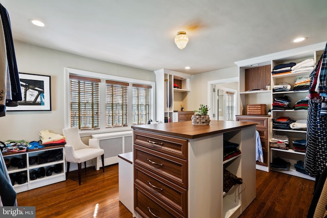 walk in closet with dark wood-type flooring and radiator heating unit