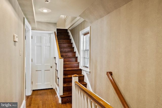 staircase featuring wood-type flooring