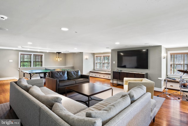 living room featuring hardwood / wood-style floors