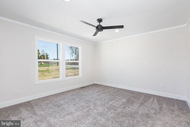 spare room with ceiling fan, carpet flooring, and crown molding