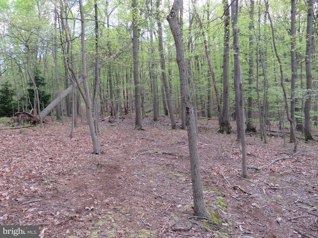 Listing photo 3 for LOT141 Kuhn Rd, Boiling Springs PA 17007