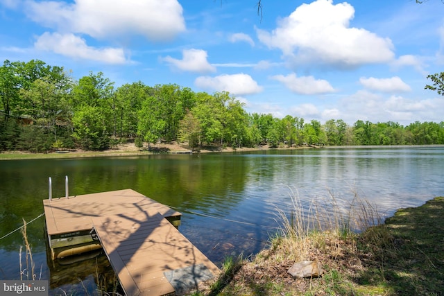 dock area featuring a water view