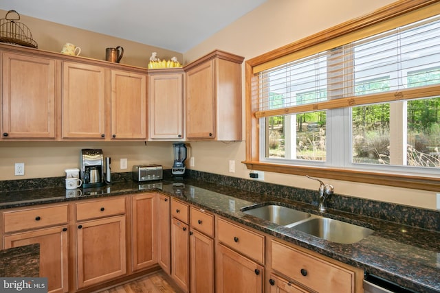 kitchen featuring light hardwood / wood-style flooring, dark stone countertops, dishwashing machine, and sink