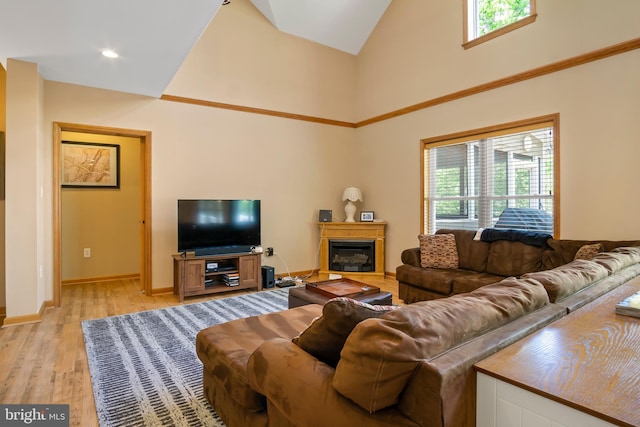 living room featuring plenty of natural light, high vaulted ceiling, and light hardwood / wood-style floors