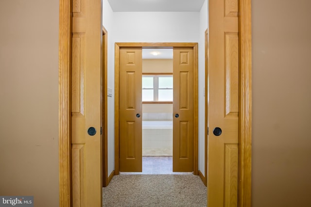 hallway featuring carpet floors