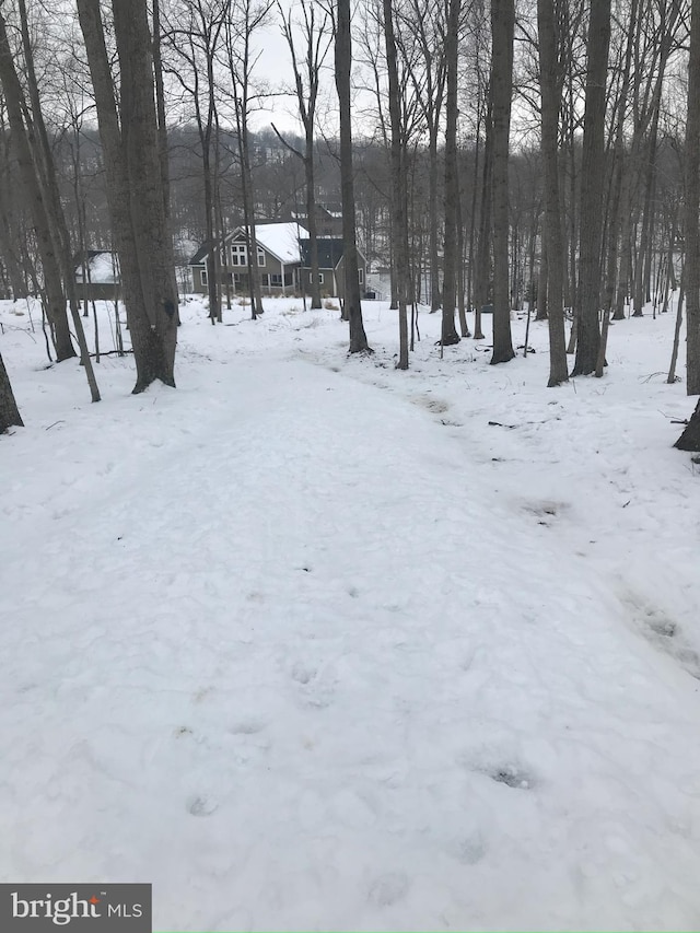 view of yard layered in snow