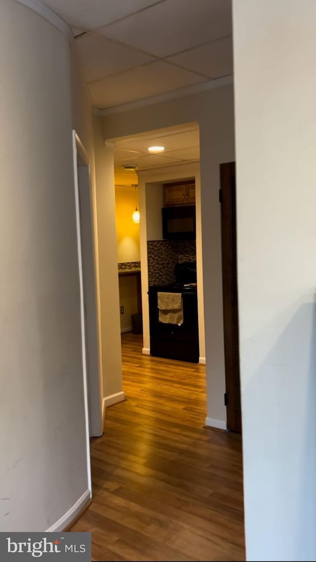 hall with a drop ceiling and hardwood / wood-style flooring